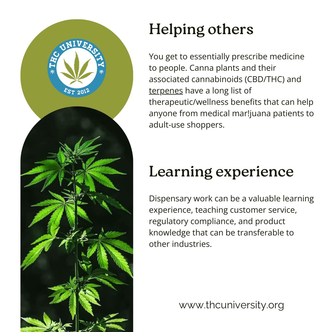 THC University tweet media