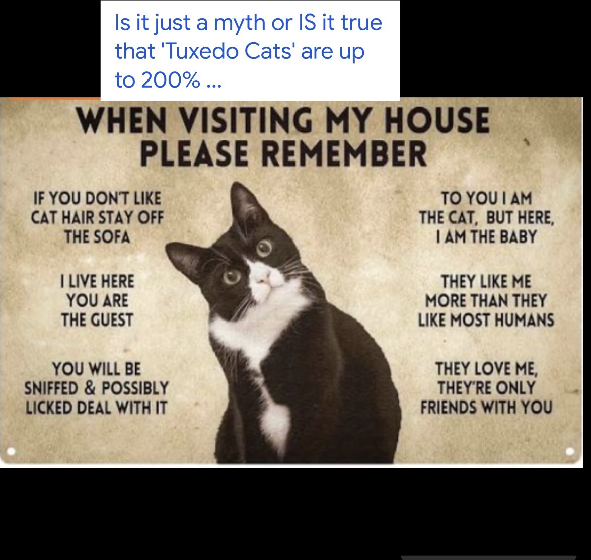 BebeCatsLife's tweet photo. #NotAMyth My Mommy says Iโm way smarter than ever plus Massimo is pretty smart too.
AND rules if you visit ***(โก๏ธMY ๐ )***house know these rules in advance. I have them memorized, do you? I wuv u ๐พโฅ๏ธ if you donโt try to take me to a ๐ฉโโ๏ธ but I would eventually forgive you https://t.co/xkWMk0zkdP