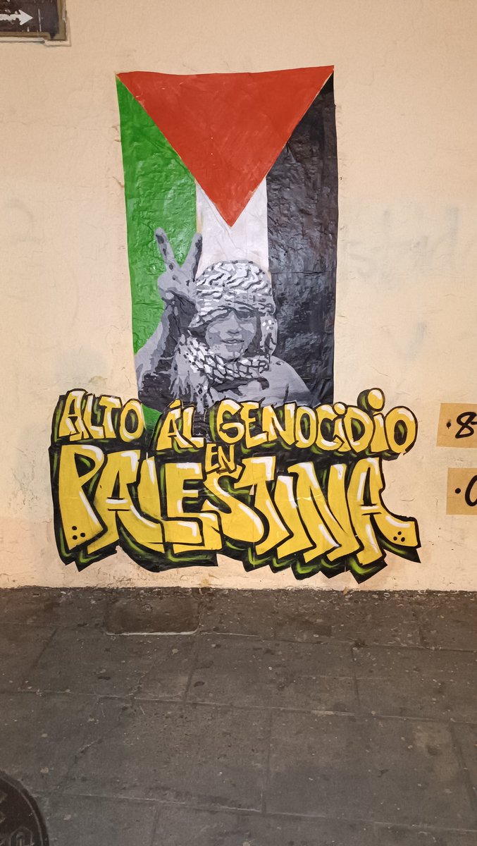 'Stop the Genocide in Palestine' Seen in Oaxaca, Mexico