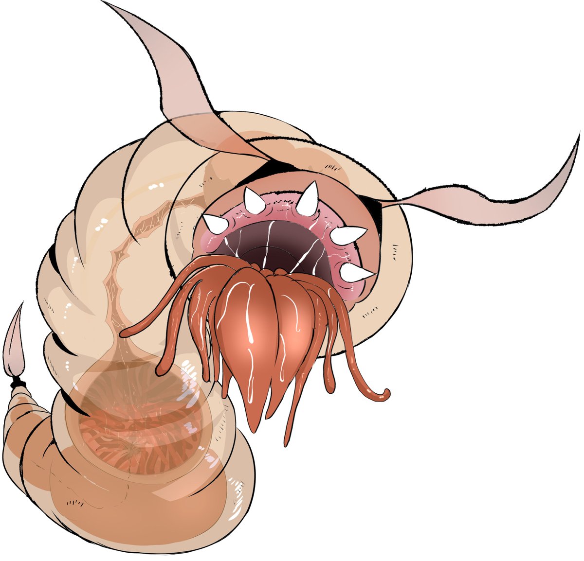 逃亡ELF2にも出てきた、闘技場用に体内が見えるよう品種改良された丸呑みワームです  (体液は相変わらず繊維だけが溶かします) 