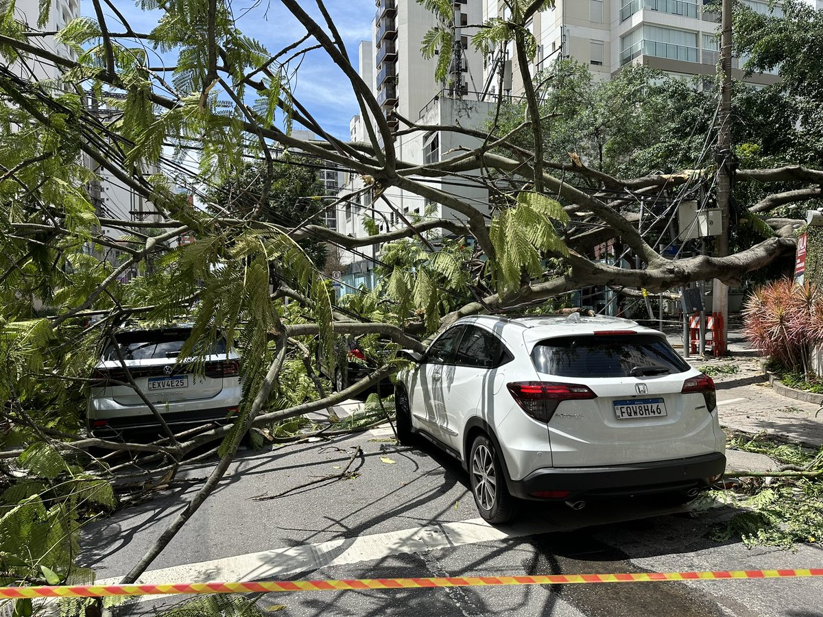 Agora na Av Rouxinol.