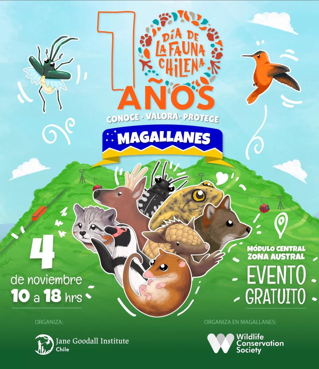 Hoy en el #DíaDeLaFauna estaremos también en Magallanes 🐧🦊🐳 
Encuentranos desde las 14 horas en el módulo central de Zona Franca. 

📣¡Estaremos regalando el libro Naturalistas en Acción! 📚