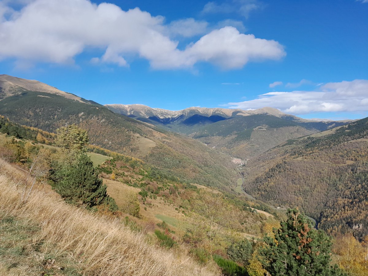 ferquecu tweet media