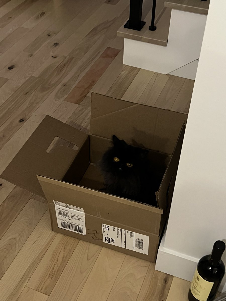 BenitoPersa's tweet photo. Bonjour les amis! Le robé su cajita a Benny jijiji https://t.co/7PpVpFbpIU