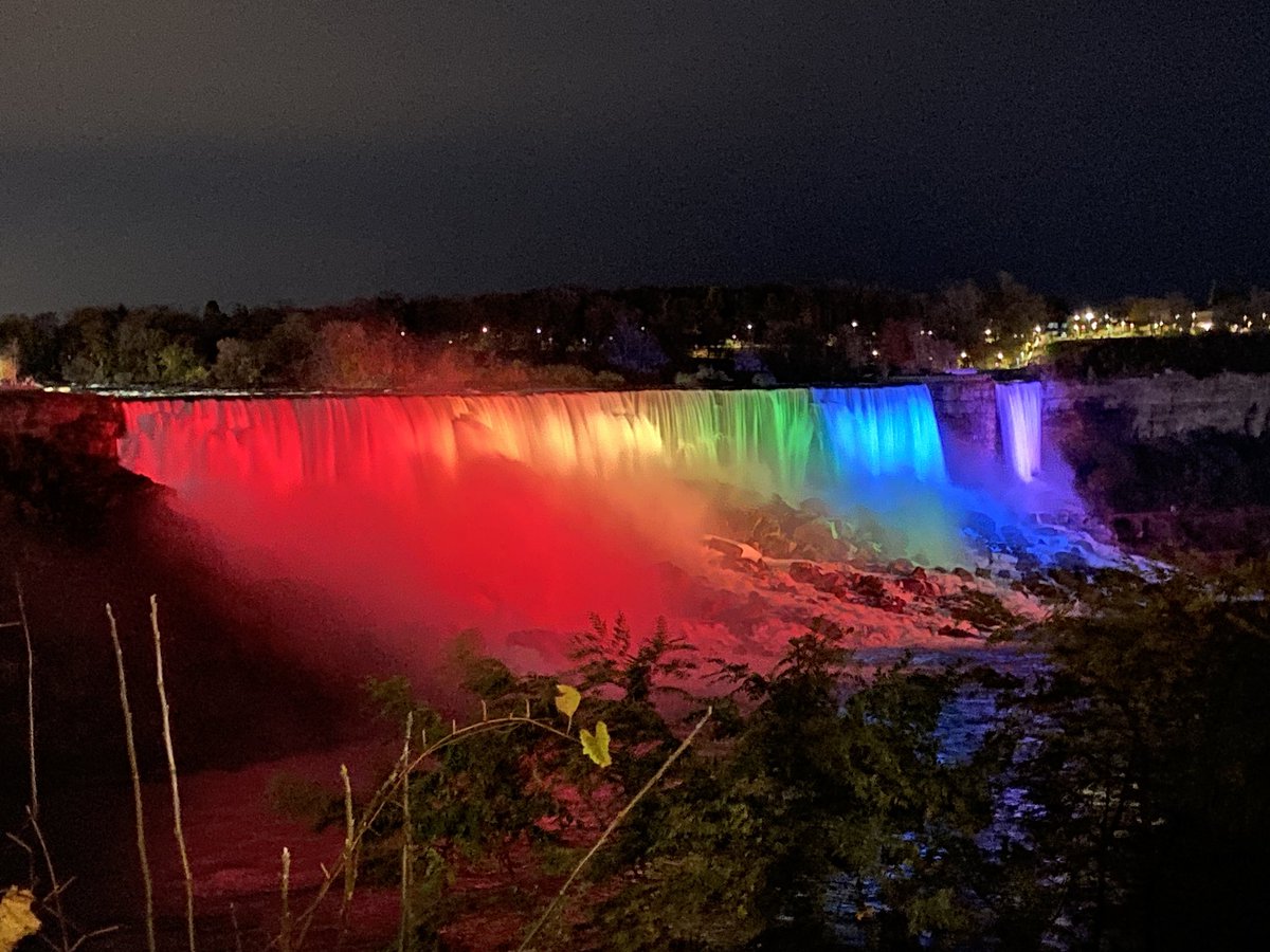 Niki Kazemzadeh (she/her) tweet media