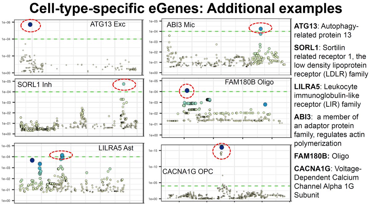manoliskellis's tweet photo. Next #ASHG23 #ASHG talk after the break: @NaSun818 on #SingleCell #eQTLs #genetic regulation of #Alzheimers in BallroomC/Level3 (10:30am)
Integrate: 427 individuals, 2.3M cells, 23 cell types and subtypes, genotypes
Results: 457k sc-eQTLs, 8.8k sc-eGenes, cell-type- / conditon- specificity, interpret AD GWAS, interpret AD DEGs
Team: @NaSun818, @ypp_lab, @Carles_Boix, @HouGroup_sysGxG, @yk_tani, #KikiGalani, #LiLunHo, with @DrLiHueiTsai and @ManolisKellis labs. 
Very proud of the whole team at @MIT, @BroadInstitute, @MIT_CSAIL, @MIT_Picower, @MITEECS, @MIT_SCC
More info: https://t.co/6OnqYgExeN
Big thanks to: @NIH, @NIHAging, @CureAlzheimers