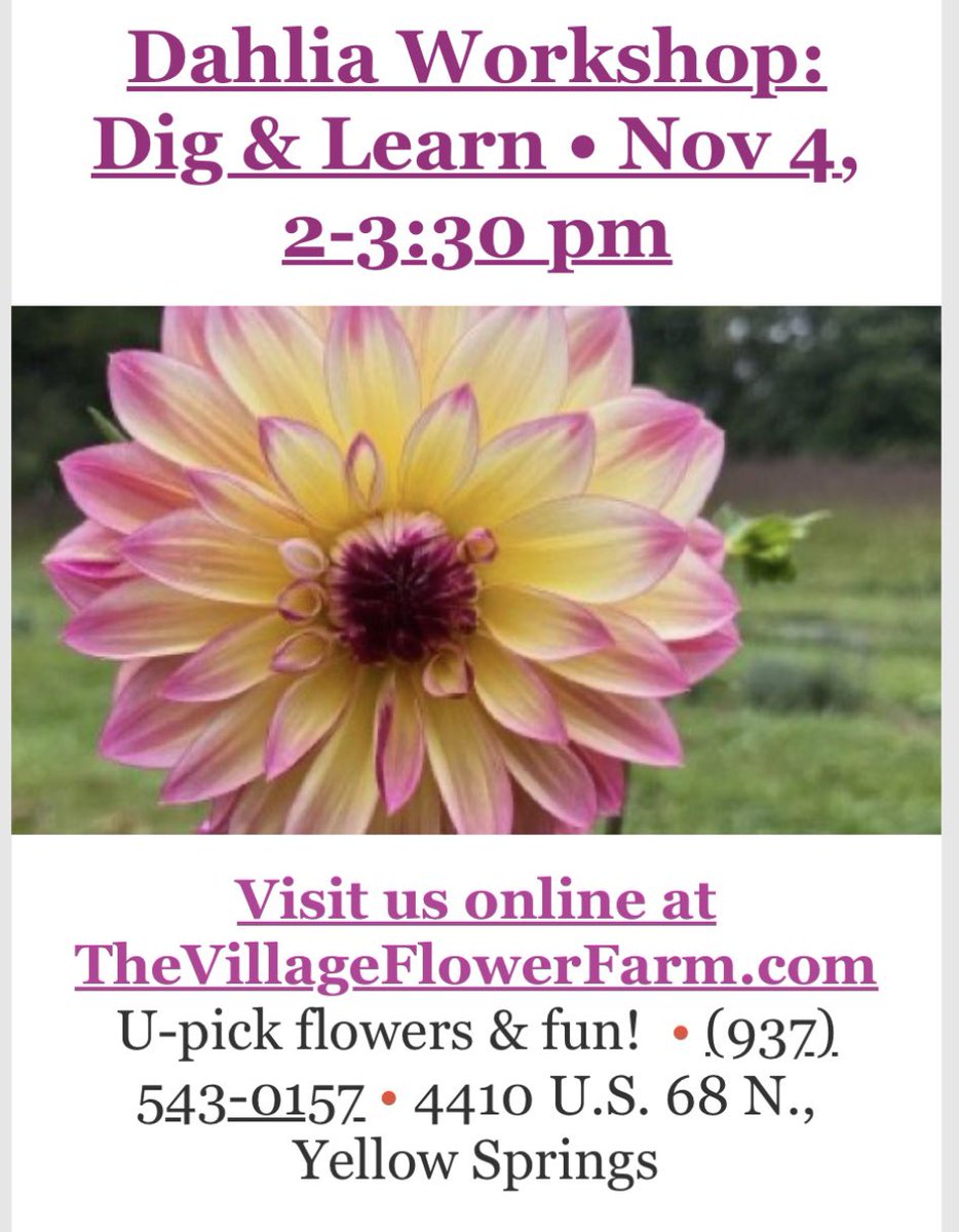 Should be a nice day for the dahlia workshop happening this Sunday.