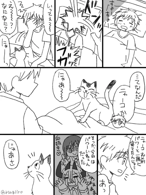 #CSM60 +50
お題「ニャーコ」 パワーちゃんがいない夜 