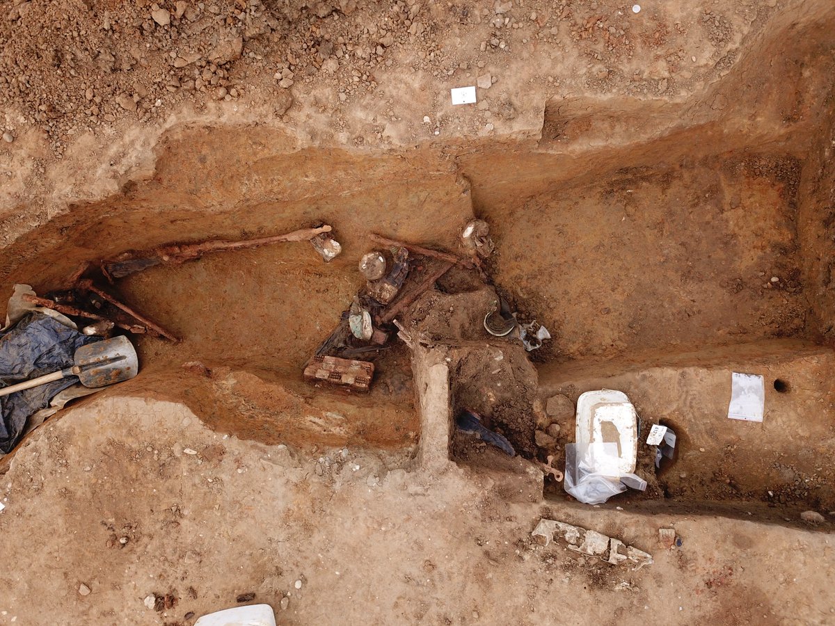 Simon Verdegem tweet media