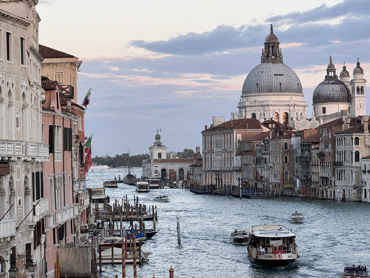 Beth Tepper tweet media