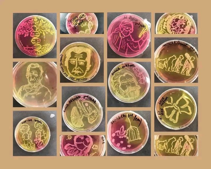 🎉 Celebrating a year of creativity, growth, and beautiful agar art achievements! 🌟 Grateful for this journey, and doubly so, as it's my birthday too! 🎂 Here's to another year of inspiration and artistry! 🥳🥂 

#OneYearOfAgarArt #BirthdayCheers