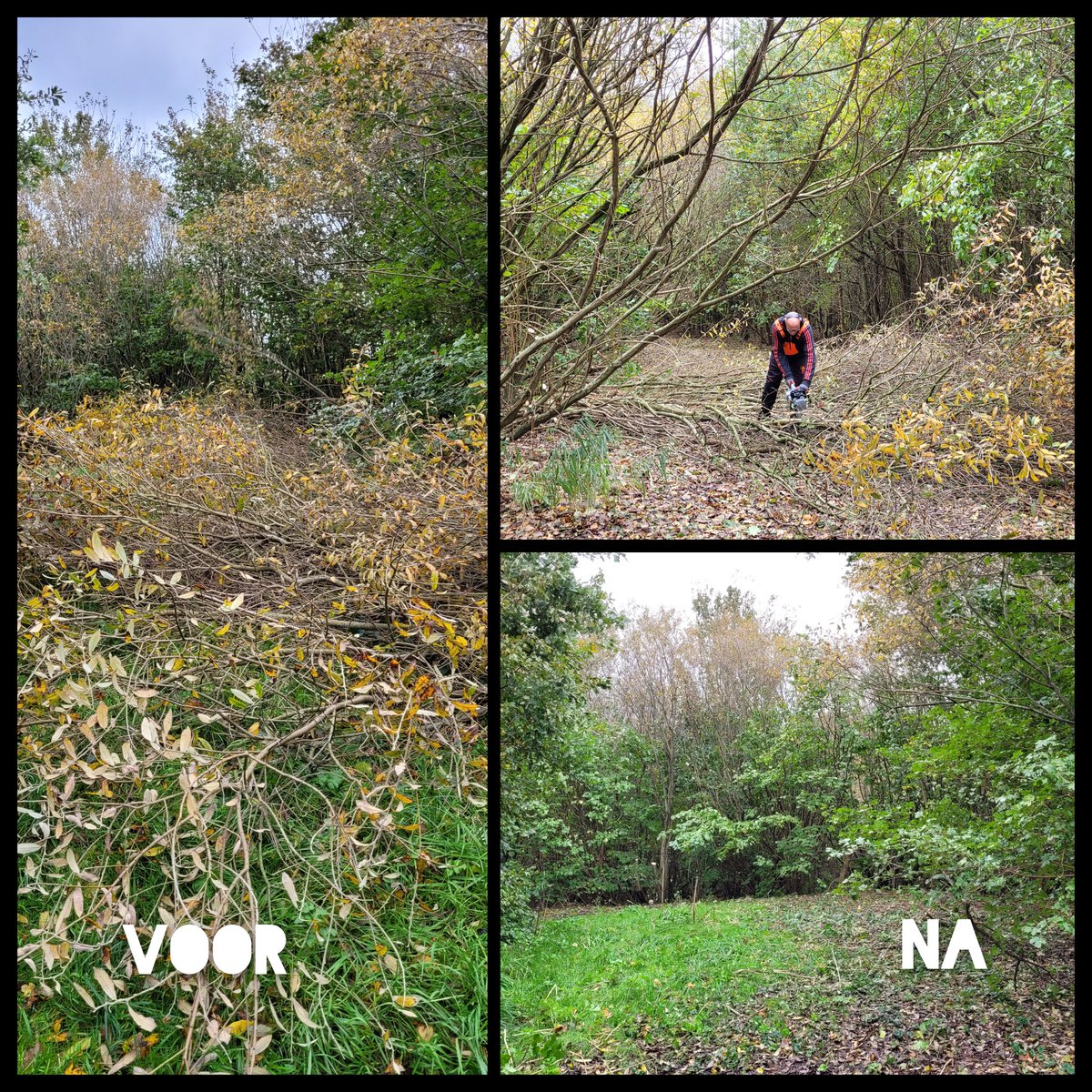 Natuurbelevings's tweet photo. Natuurwerkdag 2024 De Bult winterklaar met als belangrijkste 
klussen:
🦉het ophangen van  nestkastjes, 📖onderhoud in de rustkuil, en 🦉🪵snoeiwerk in het struweel.  
Nestkastjes zijn mogelijk gemaakt door @StgGroenLicht 💚
#vrijwilligersmakenhetmogelijk @NatuurwerkdagNL https://t.co/nnPHldRFia