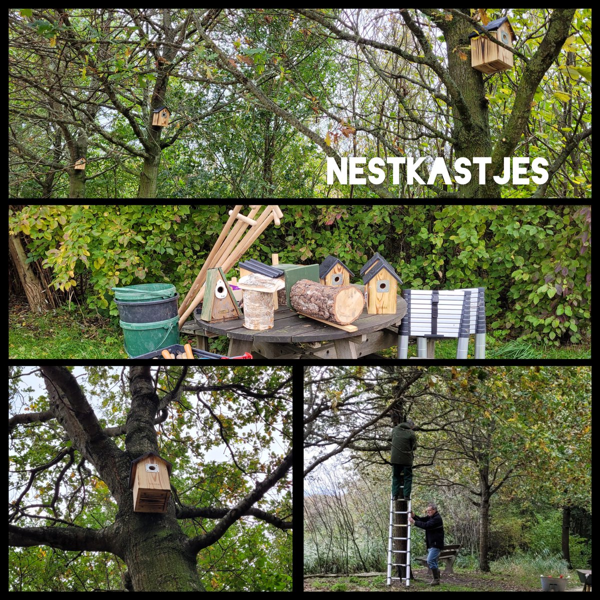 Natuurbelevings's tweet photo. Natuurwerkdag 2024 De Bult winterklaar met als belangrijkste 
klussen:
🦉het ophangen van  nestkastjes, 📖onderhoud in de rustkuil, en 🦉🪵snoeiwerk in het struweel.  
Nestkastjes zijn mogelijk gemaakt door @StgGroenLicht 💚
#vrijwilligersmakenhetmogelijk @NatuurwerkdagNL https://t.co/nnPHldRFia