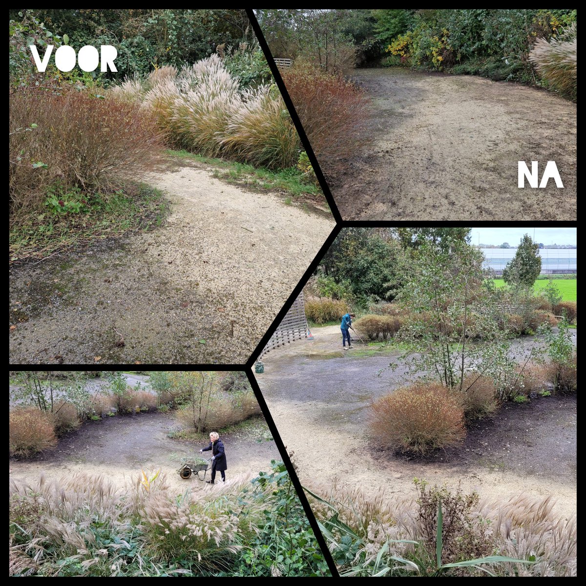 Natuurbelevings's tweet photo. Natuurwerkdag 2024 De Bult winterklaar met als belangrijkste 
klussen:
🦉het ophangen van  nestkastjes, 📖onderhoud in de rustkuil, en 🦉🪵snoeiwerk in het struweel.  
Nestkastjes zijn mogelijk gemaakt door @StgGroenLicht 💚
#vrijwilligersmakenhetmogelijk @NatuurwerkdagNL https://t.co/nnPHldRFia