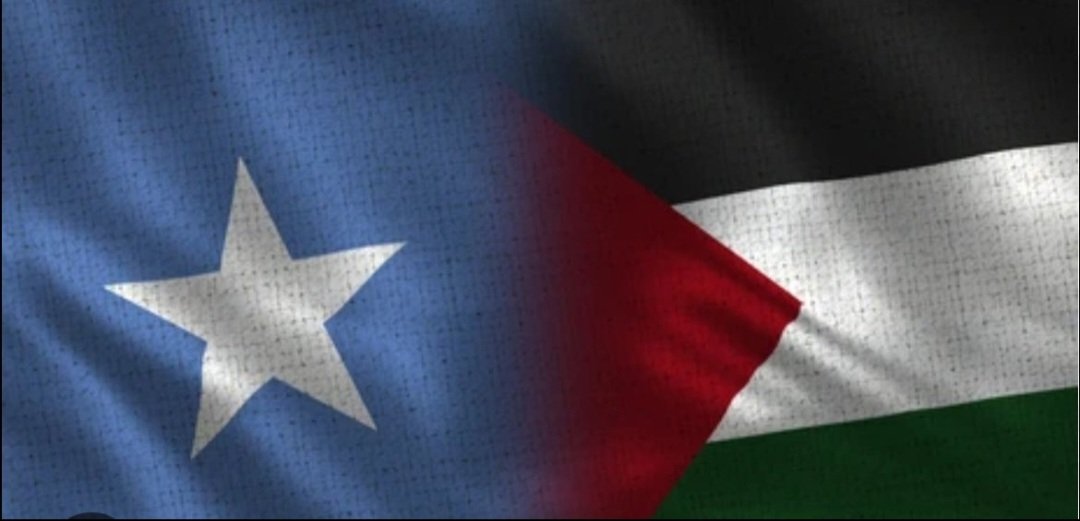 Honsayid's tweet photo. @jacksonhinkle Somalia firmly stand with Palestine now and always!🇸🇴🇵🇸 https://t.co/Xj8x0z4cKn