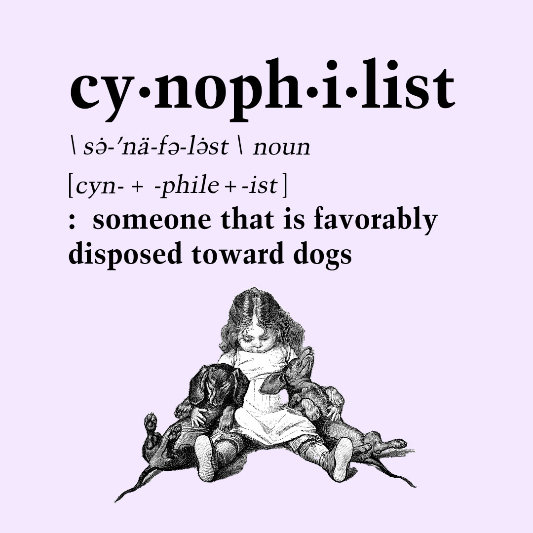 Raise your hand if you're a cynophilist.