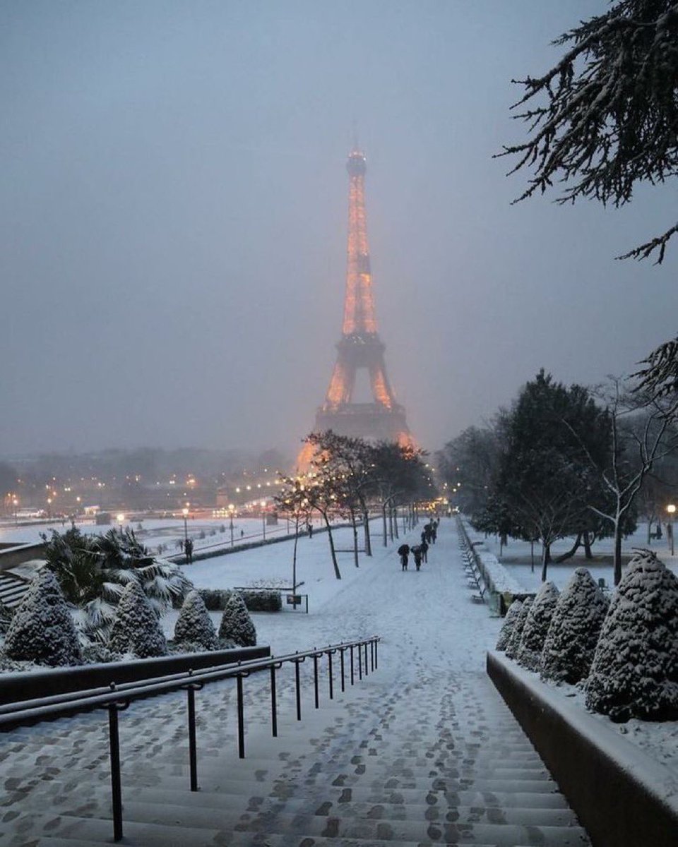 Winter in Paris 🇫🇷