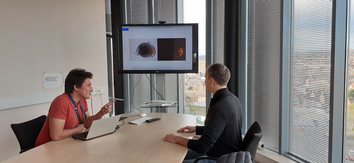 Leeds Hospitals Charity tweet media