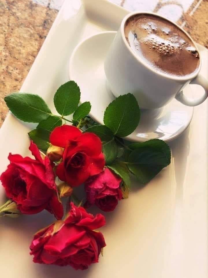 d71256my's tweet photo. مساء الورد والياسمين 
   لمن يزرعون انفسهم داخل قلوبنا ويسقوننا من نبع حبهم ،وينشرون اهتمامهم بنا ،فإن غابوا بحثنا عنهم ،وان حضروا اسعدو القلب ،وازالو الهم في ابتسامتهم، شفاء القلب، وامان الروح
 هؤلاء هم من يسكنون اعماق قلوبن��. 
🌼 مساء الورد💐#مساء_الخيرᅠ https://t.co/DijdzavisV