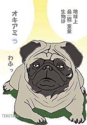 #どうでもいい知識でフォロワーの貴重な脳細胞を無駄に消費させたい 🐶わふっ 