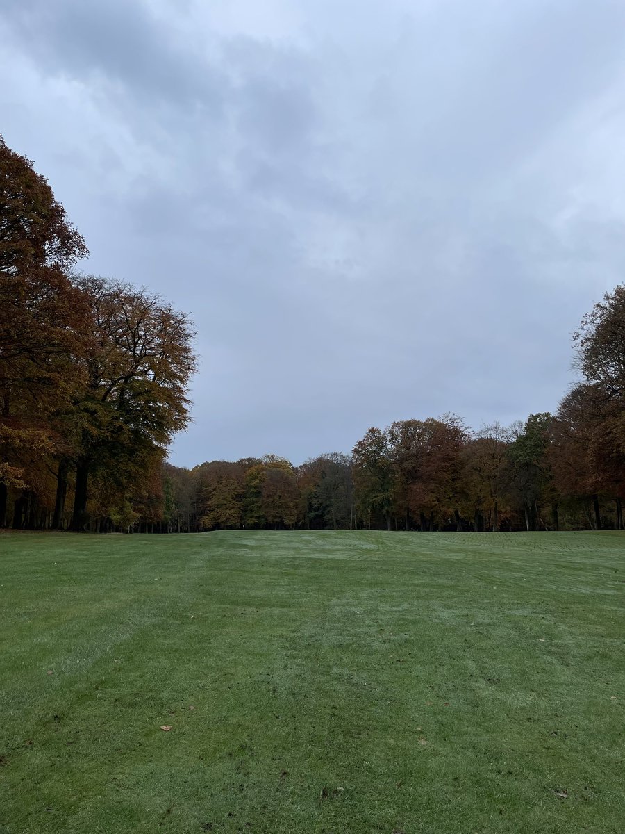 MikeNeil4's tweet image. Downfield looking superb this morning 🍂 ⛳️