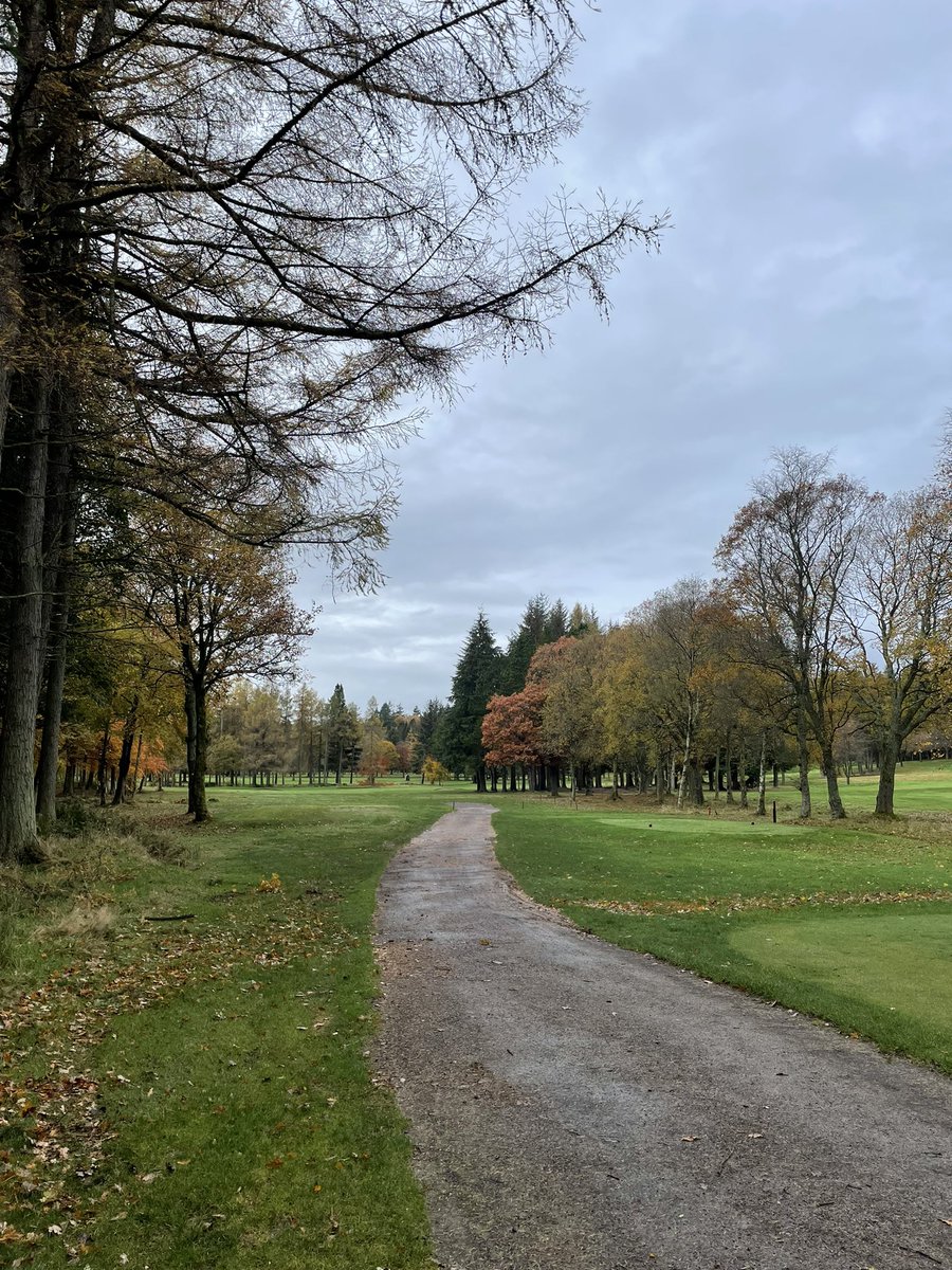 MikeNeil4's tweet image. Downfield looking superb this morning 🍂 ⛳️
