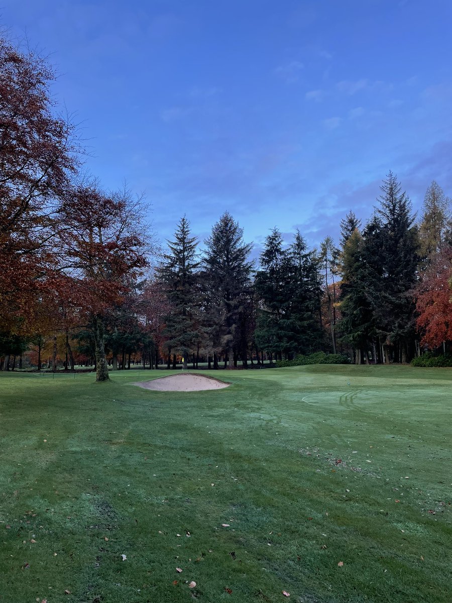 MikeNeil4's tweet image. Downfield looking superb this morning 🍂 ⛳️