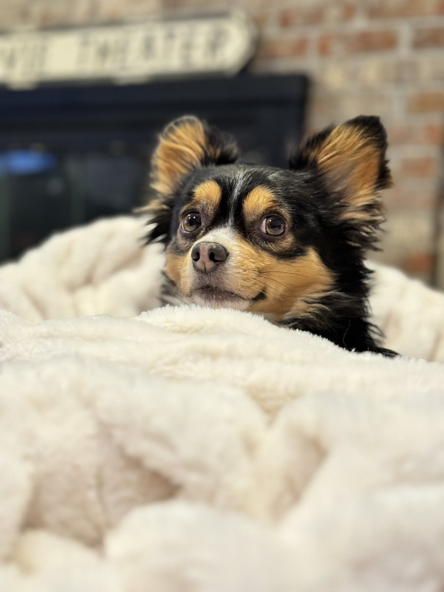 Happy Saturday - stay snuggly