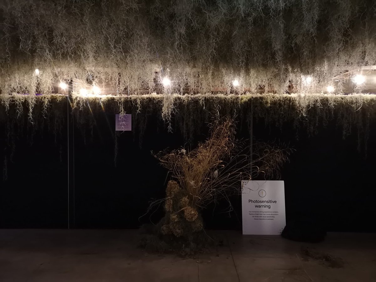 space_for_grief's tweet image. Opening today! 

#SpaceforGrief #placemaking @EGBrickWorks #TorontoCulture #Spaceforgriefmovement #publicspaceforgrief @nxtgenforesight @OCADUAlumni @CPPlanning_ @method_collect @TOShelters @scararts