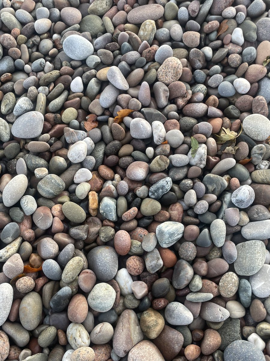 ECWilsonWriter's tweet image. Sometimes only the Sea can soothe the soul. 
#Scotland #ResearchTrip #BookTwo #BookThree #Love #Seaglass