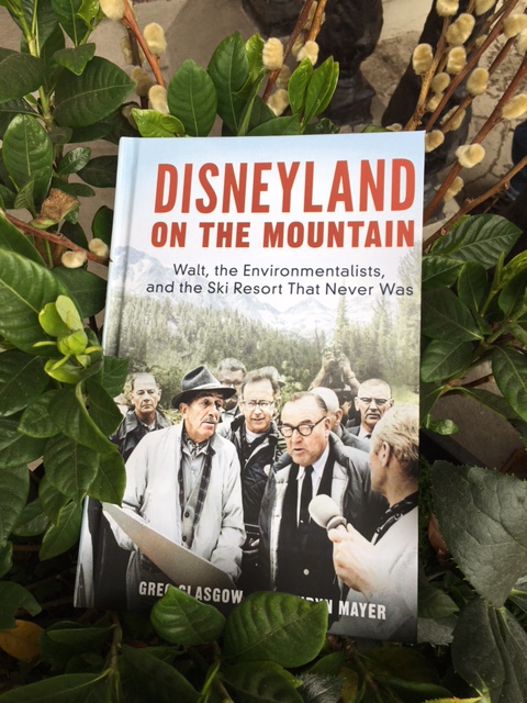 Lissa Warren tweet media