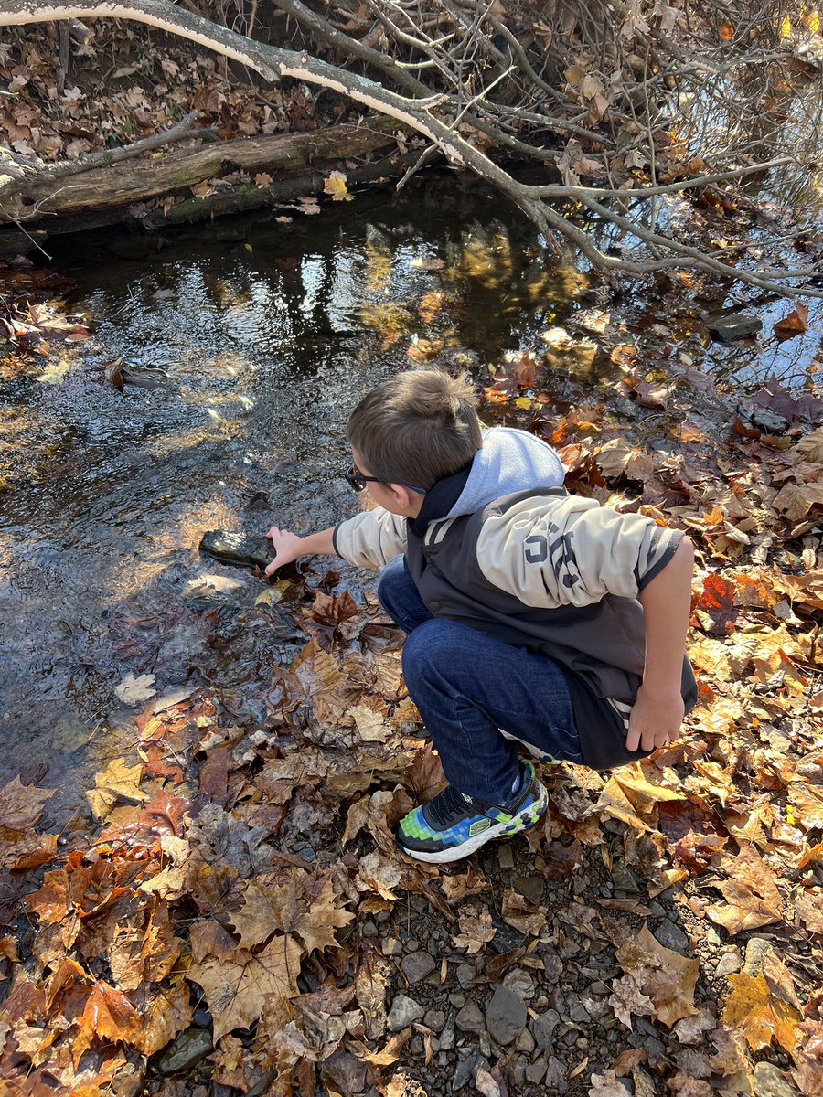 ClassWithMissK's tweet image. 3-6 had a blast at Peace Valley Nature center! We got to check out many different habitats and learned how insect eggs survive through the cold seasons!