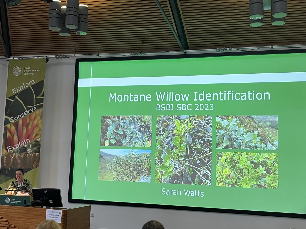 Connie SimonNutbrown tweet media