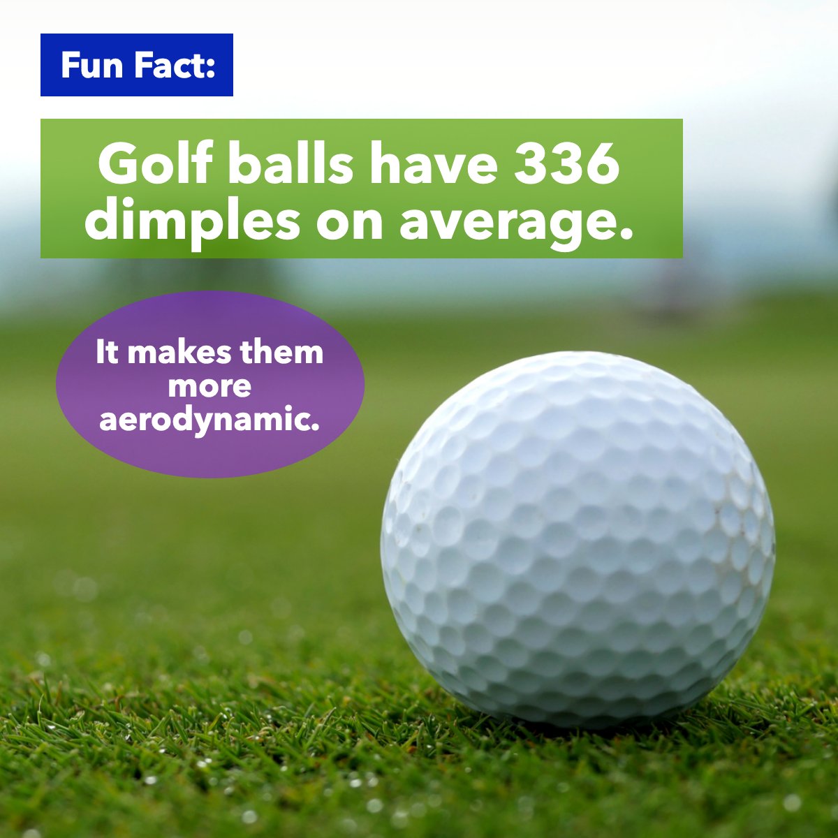 thefrygroupmn's tweet photo. Did you know this? 😅
#golf #fact #balls #sport
#TheFryGroup #IknowRealEstate #TwinCitiesRealEstate #LocalExpert https://t.co/6xgIAg0dBb