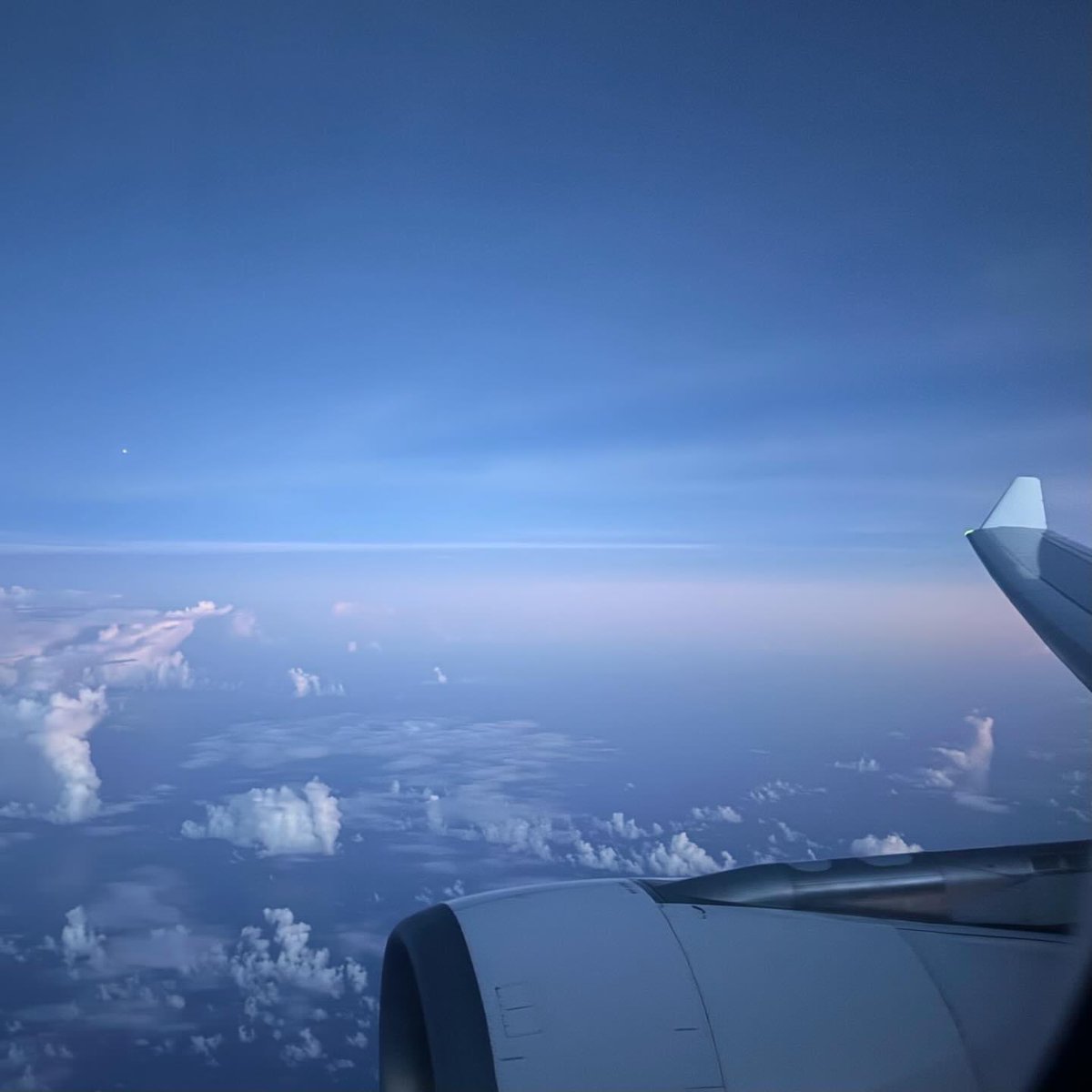 academylane's tweet photo. 約４年ぶりの飛行機、滑稽なほど過剰配備の係員の不協和合唱という入国審査を経て乗った電車の、これまた過剰にご注意ください、皆様のご協力をお願いいたしますが、衰える独居頑固老父対策の短期訪問の憂鬱に拍車をかけ、何かパニックアタックの如き動悸を抑えて息を潜める僕のマスクは何の感染対策？ https://t.co/DHcN1EZT06