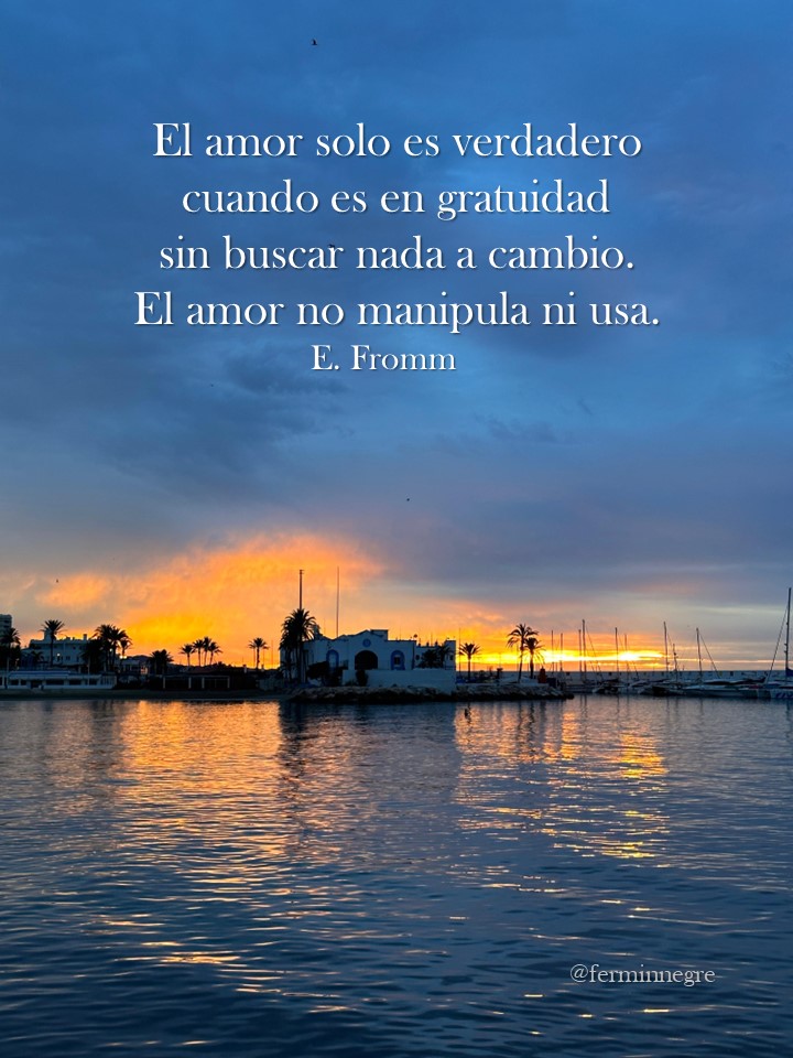 🪔 Fermín Negre 🎏 tweet media