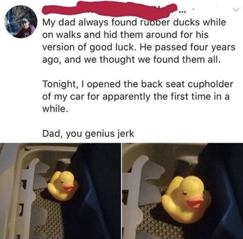 Brandon 🦂 (@thuislander) on Twitter photo 