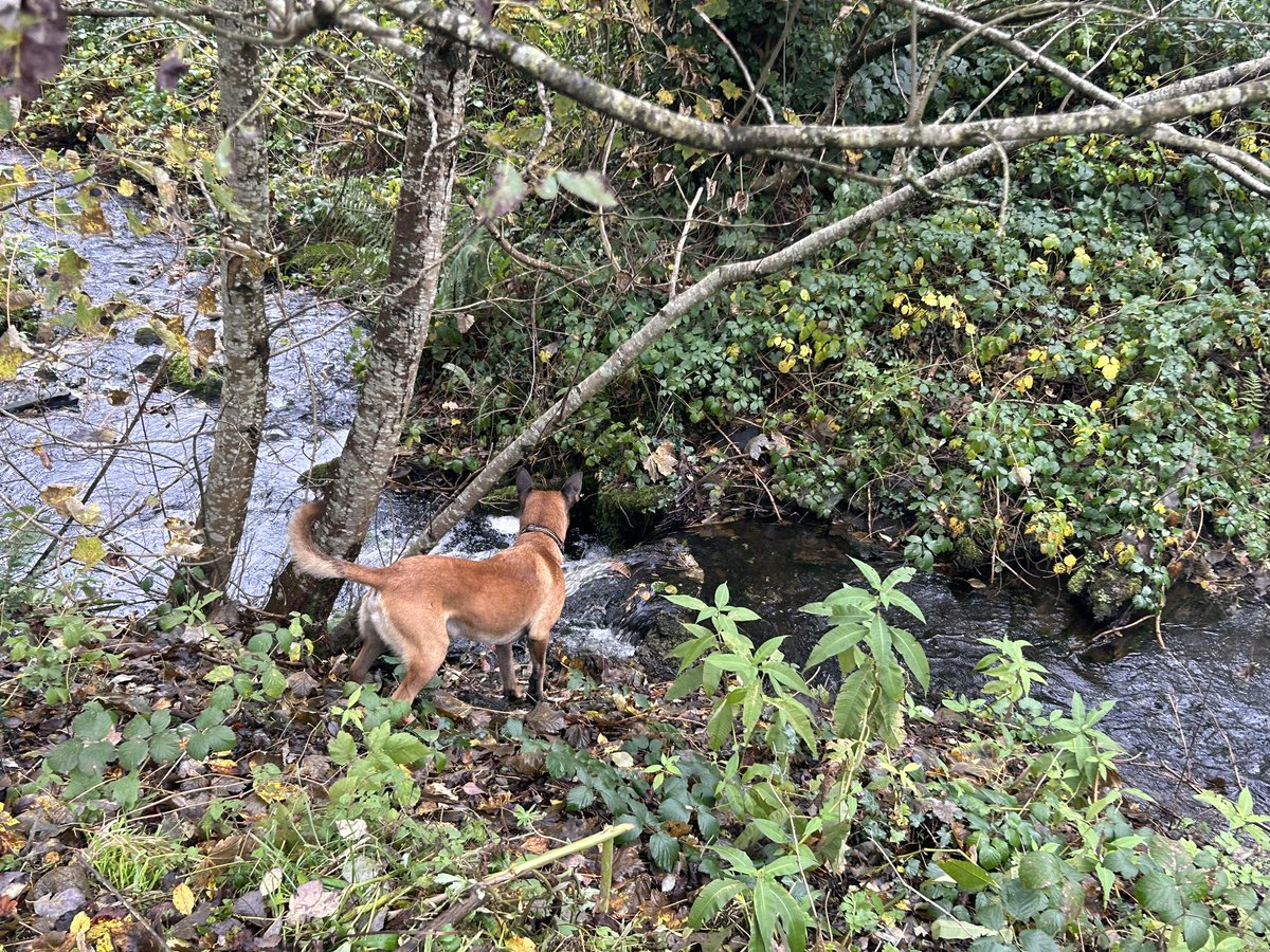 the Dude 😎 tweet media