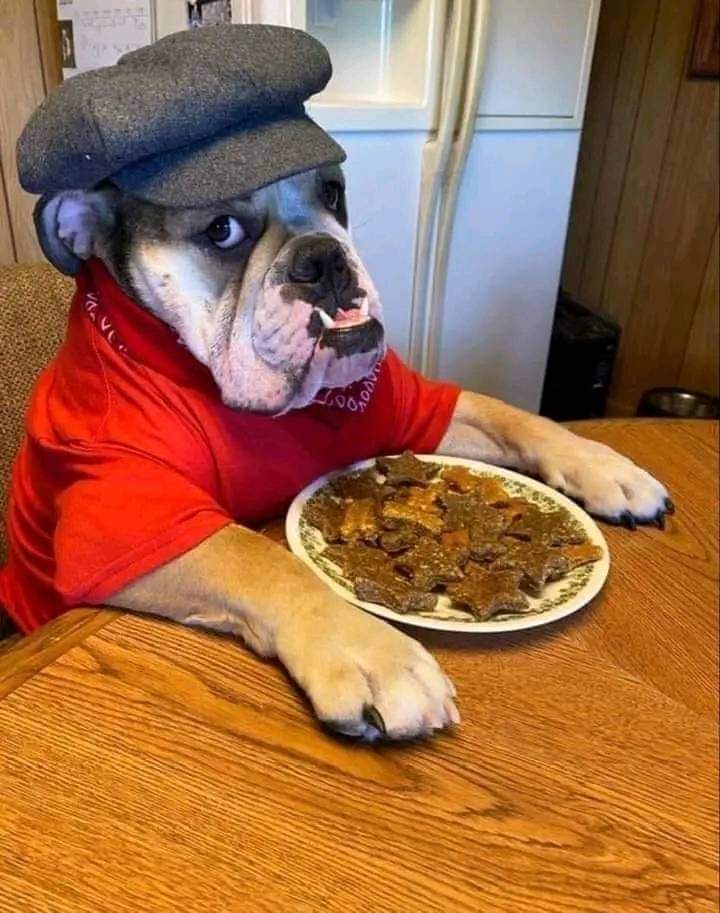 My Breakfast 🥞🍳🥞

#Englishbulldog #dogs #Bulldogs #dogsoftwitter #Puppies
