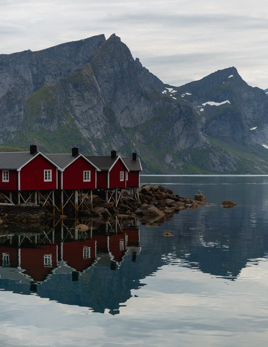 a__iqb's tweet image. gm from beautiful norway 🇳🇴