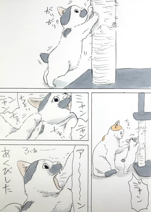 まいにちノリ吉