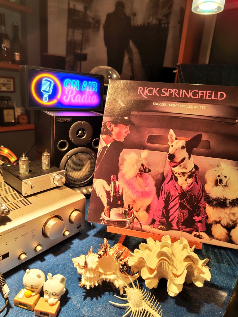 bobbylikesfish's tweet image. オーストラリアつながりで、今でも精力的に活躍中のリック・スプリングフィールドのこのレコードを聴いてます…
アメリカ盤のこのジャケットの中にはピンナップカードも入ってました…
#レコード
#中古レコード
#rickspringfield 
#successhasntspoiledmeyet
#vinyl