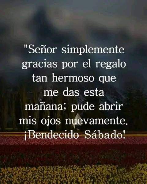 ANA PALAMAR (@palafox_bertha) on Twitter photo 