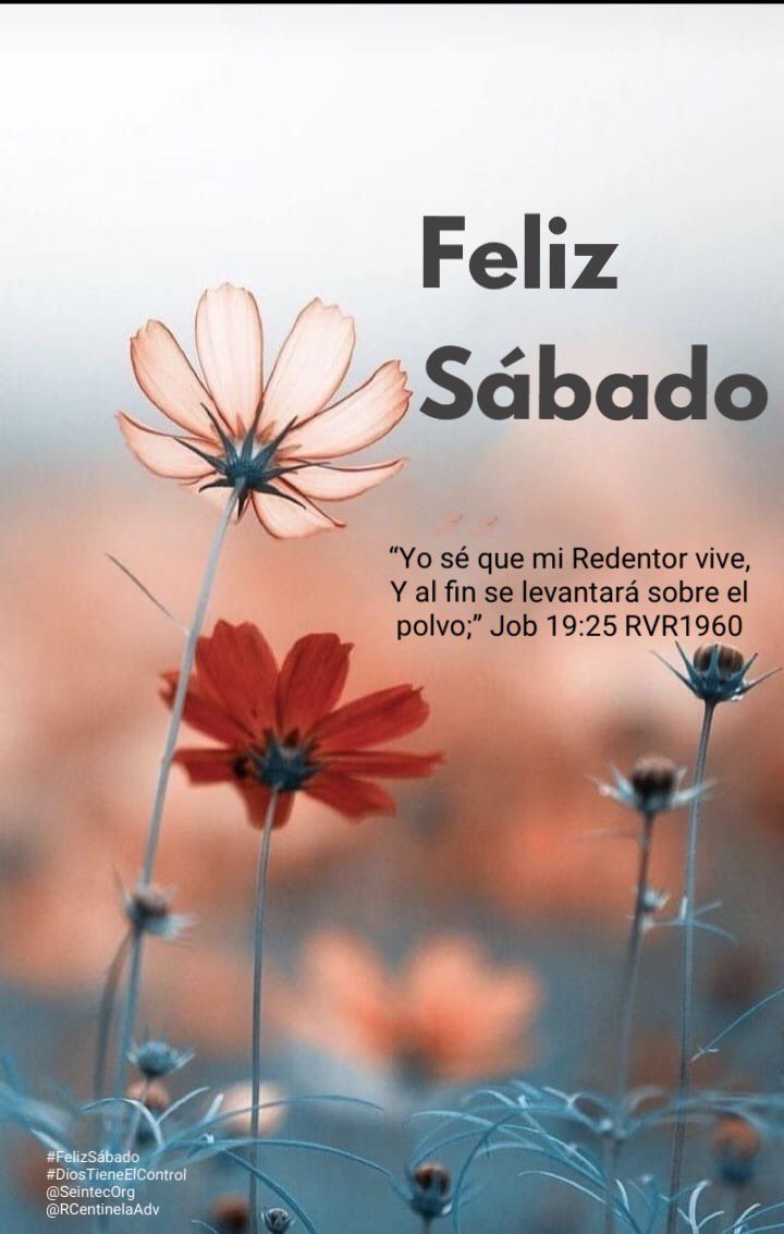 RCentinelaAdv's tweet photo. ¡Feliz Sábado! 🤍🙏🏼

Dios descansó
Dios lo bendijo
Dios lo santificó 

📖Mateo 6:33

#FelizSábado
#BendecidoSábado
#DiosTieneElControl
#JesusNuestraEsperanza
#JesúsVienePronto
#IglesiaAdventistaDelSeptimoDia
#AdventistChurch
#ASD
#SDA
#RadioCentinelaAdventista
#SeintecOrg
#México https://t.co/0aVqrwrG41