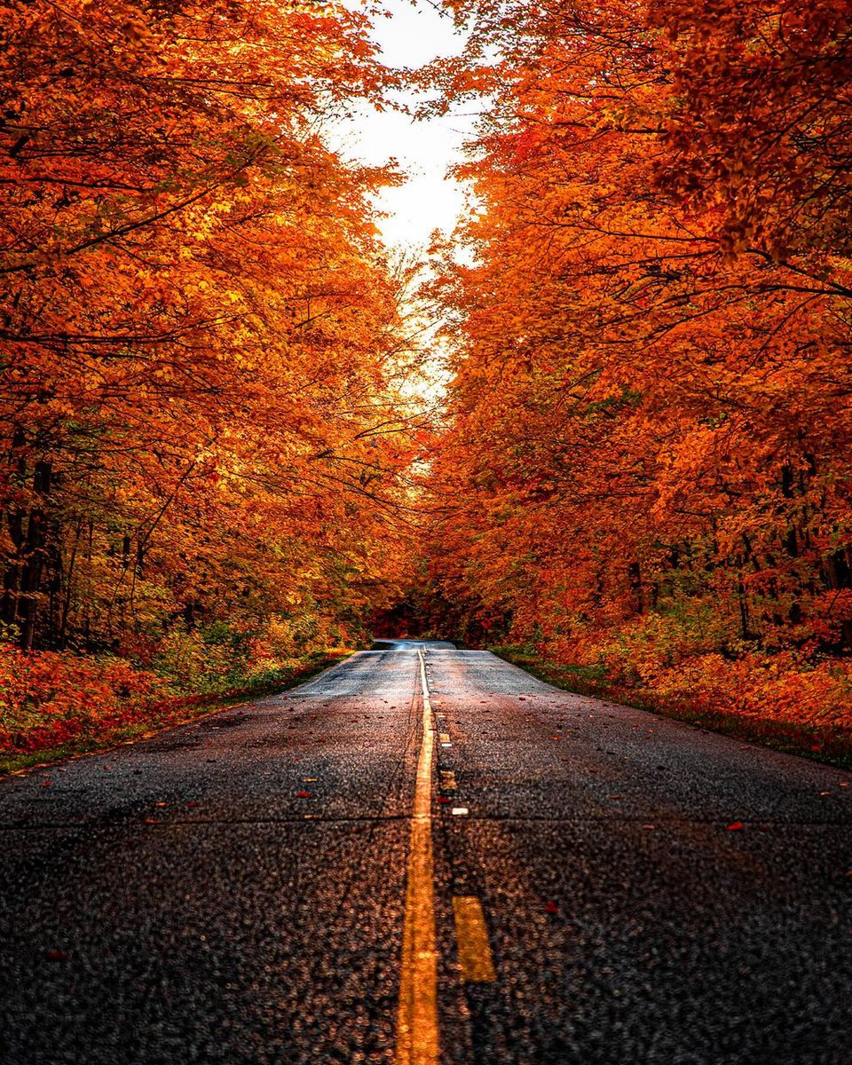 PureMichigan's tweet image. The colors are coming through and we have another fall color update for you. Check out upcoming events and the best places to see what the season has to offer.

📸:Instagram fan mad.scenery

puremi.ch/48Erx1B #PureMichigan #KeepFallFresh #FallFilter