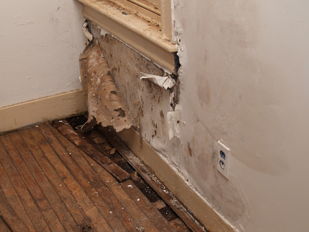 Professional Water Damage Services - Brooklyn Water Damage

If you want to get your property back after having suffered from #waterdamage, connect with our damage restoration experts at Brooklyn Water Damage.💧

🔗cleanmyflood.com/index-brooklyn…
📞(347) 455-9898

brooklyn-water-damage.business.site/posts/23387167…