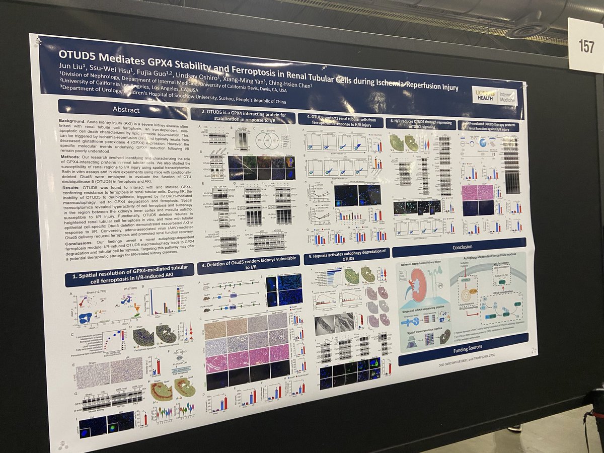 ChenLabUCDavis1's tweet photo. Our poster at #KidneyWk @ASNKidney @UCDNephrology @UCDavisResearch https://t.co/qwifxEtEY7