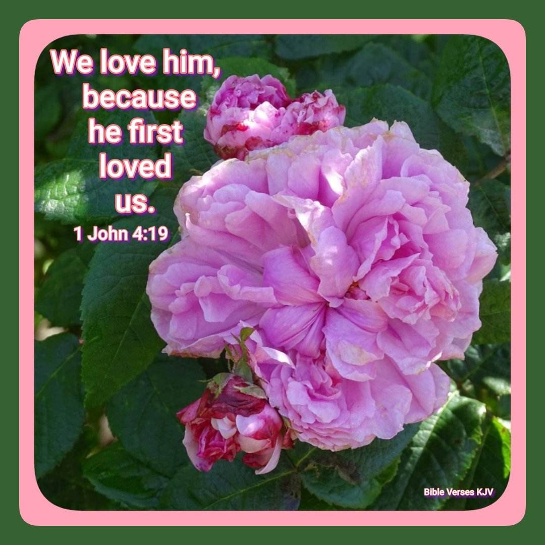 sparrow17 on X: We love him, because he first loved us. 1Jn.4:19. O how I  love Jesus.  / X