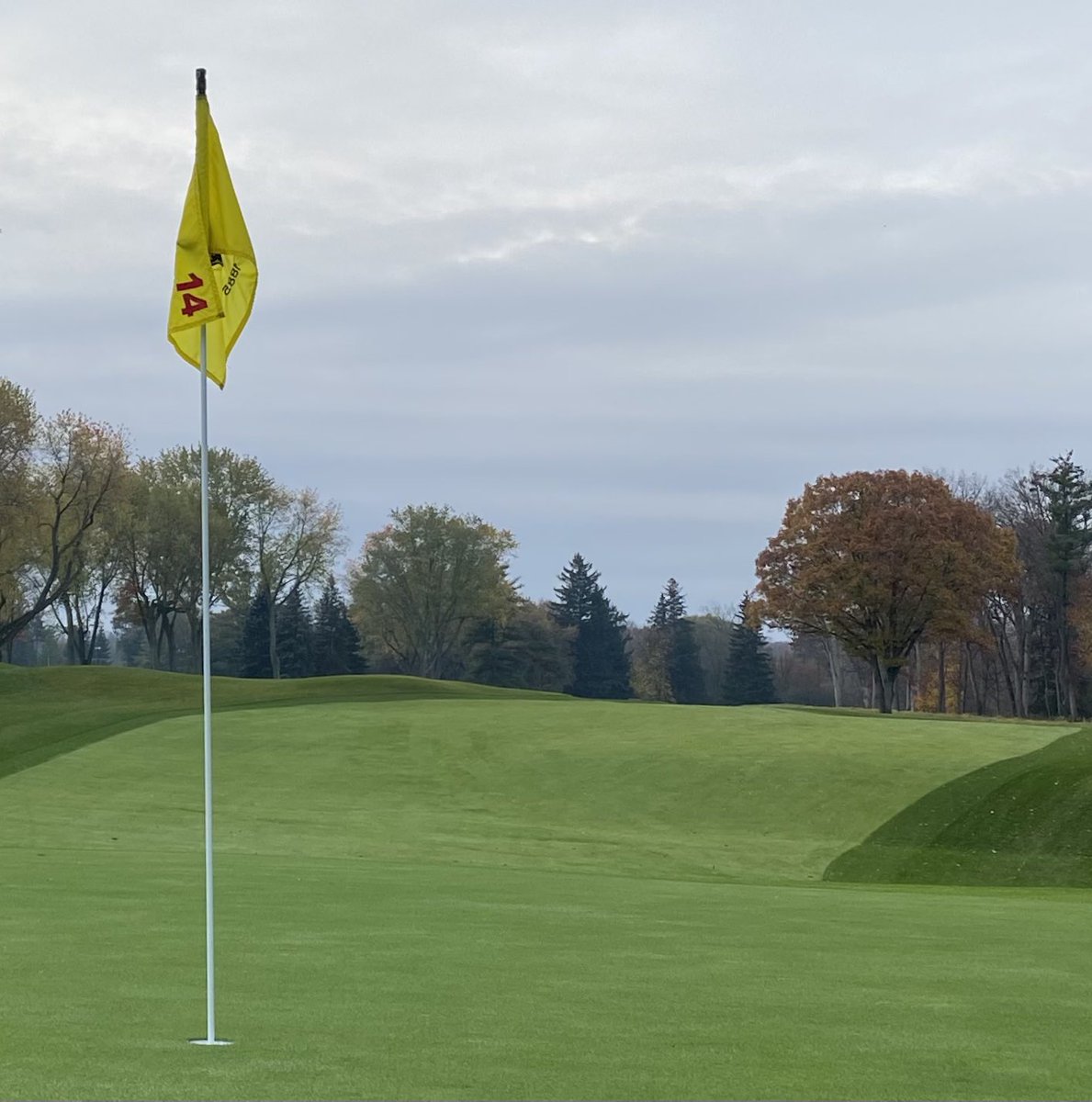 GriffithsJayson's tweet image. Looking backwards…this Red Oak was meant to be…from the tee it influences the shot to a wide landing but provides a sense of scale &amp;amp; belonging looking back from the green…plus yesterdays deeptine helped with last nights rains…#legacytrees