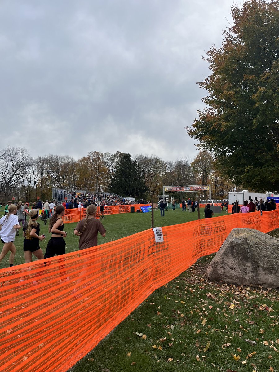 MUSTANG XC tweet media